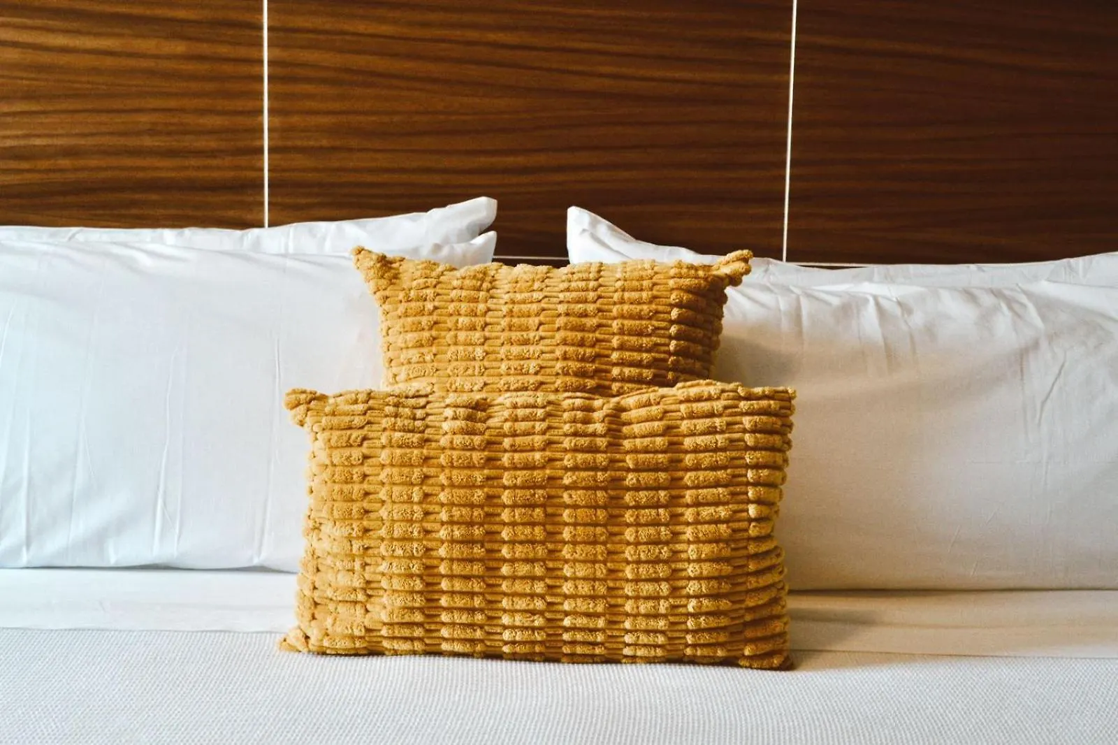 Hvh By Yaxche Hotel Guadalajara